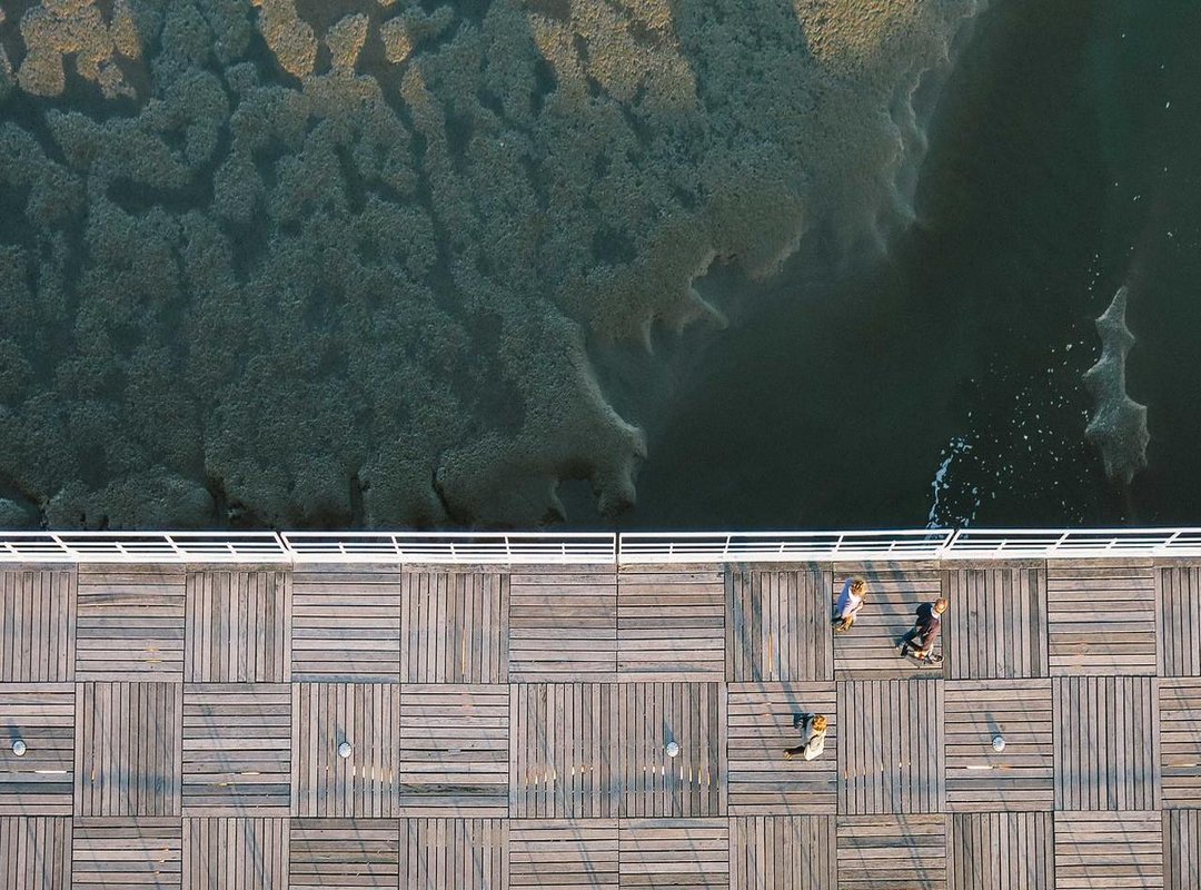 The Aportbet Experience: Weighing the Pros and Cons