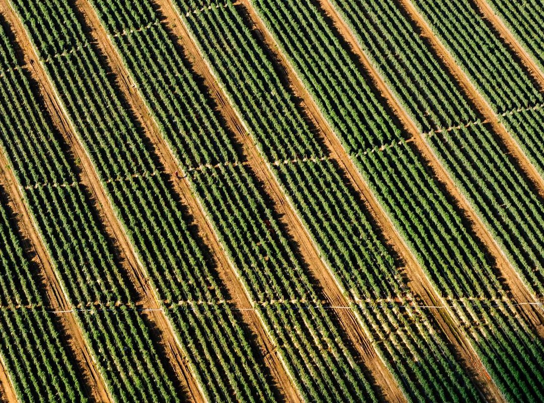 Comparing Official vs. Unofficial Sources: A Side-by-Side Look