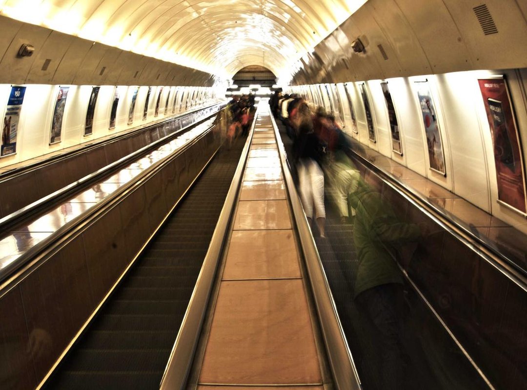 Navigating the Culture: Common Terms and Etiquette