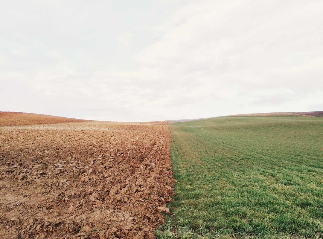 Choosing the Right Download: File Quality and Formats