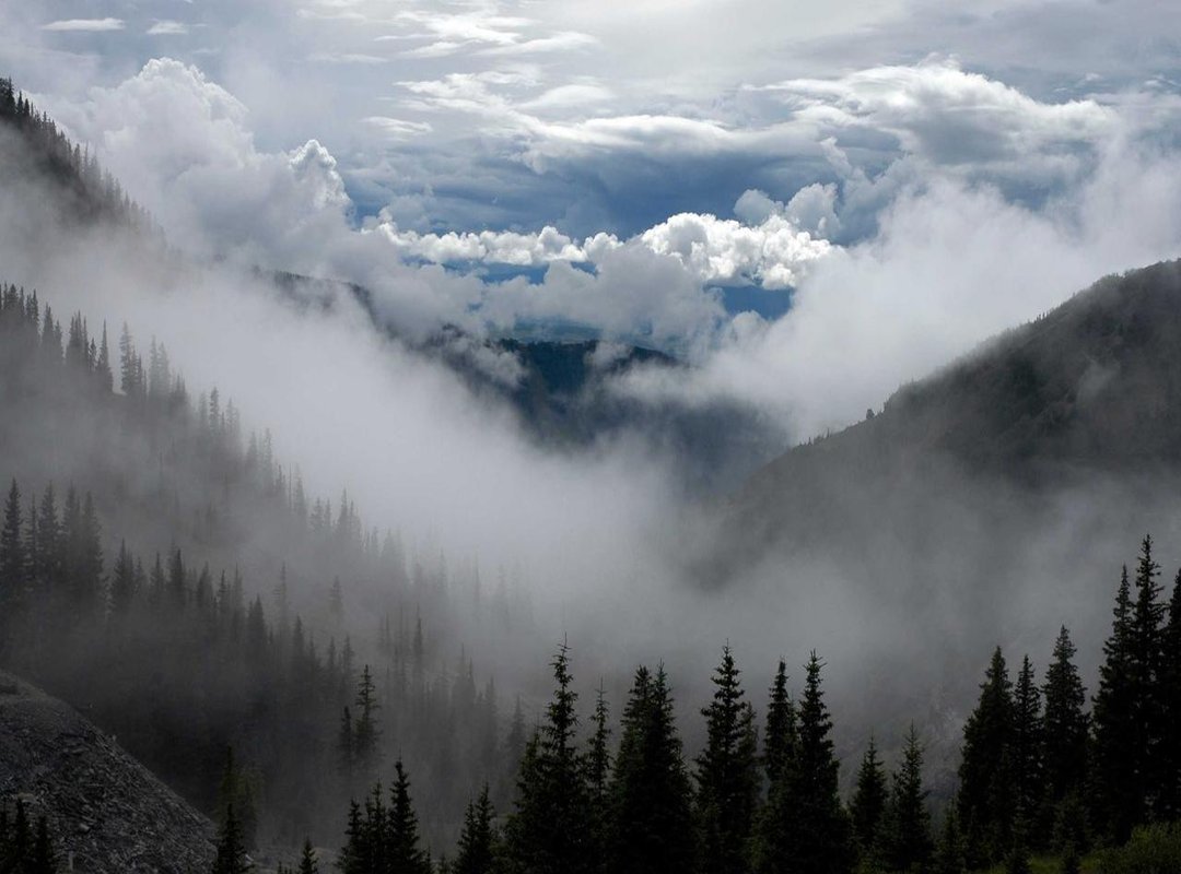 More Than Just a Song: The Lasting Appeal of 'Diskofunque'