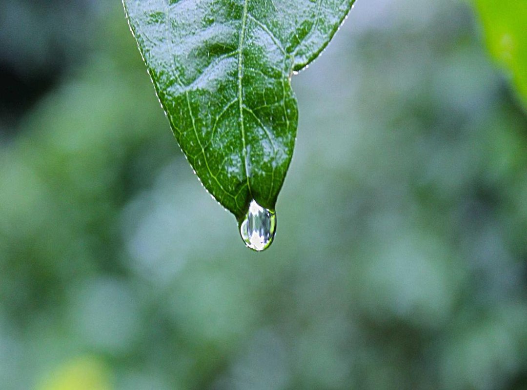 Getting Started: Your First Steps with Wasatwed