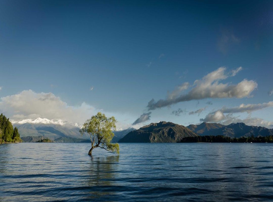 From Concept to Creation: A Walkthrough of the 'xxvidoe 2023' Logo Design Process